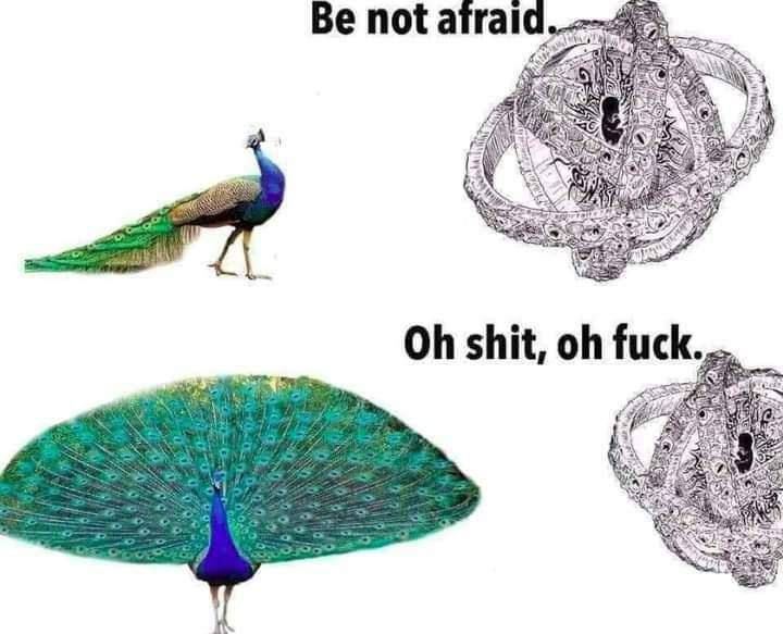 Be not 5 2 shit, fuck 5 0