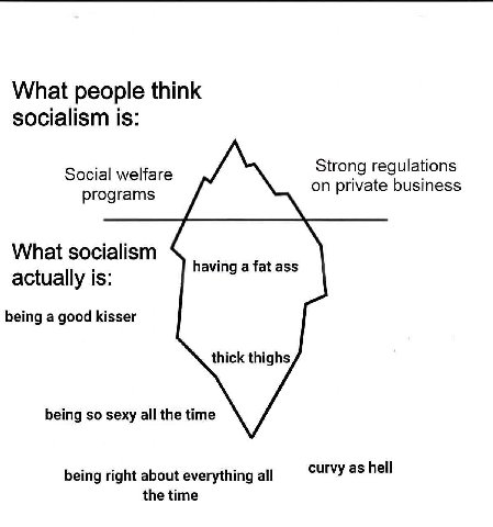 What people think socialism is: Strong regulations programs on private business What socialism having a fat ass actually is: being a good kisser thick thighs being so sexy all the time being right abo