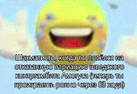 Амотуса ты