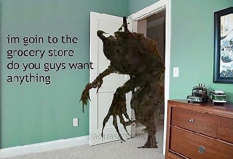 goin to the grocery store you guys wan anything
