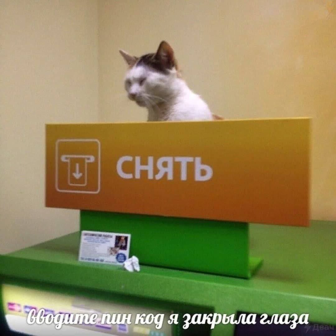 a код я закрыла глаза