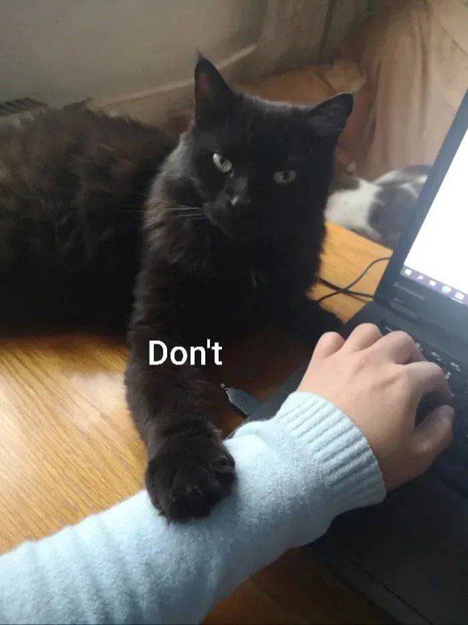 Dont