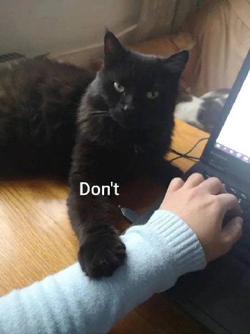 Dont