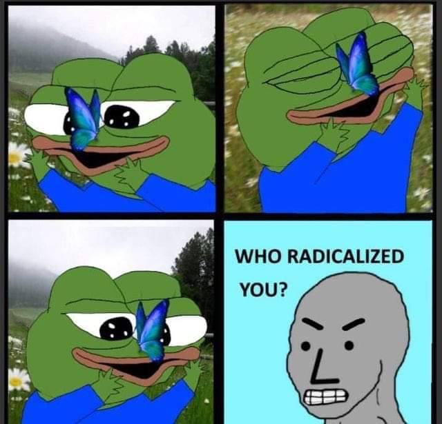 WHO RADICALIZED YOU?