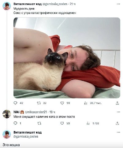 Виталя пишет код @gambala_codes 214 Мудрость дня: Секс с утра катастрофически недооценен 45 13 22 93 28,7 тыс. Niki @nikaxander21 19 4 Меня смущает наличие кота в этом посте 4 59 ili 1759 Виталя пишет