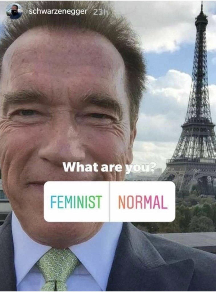 What are FEMINIST NORMAL