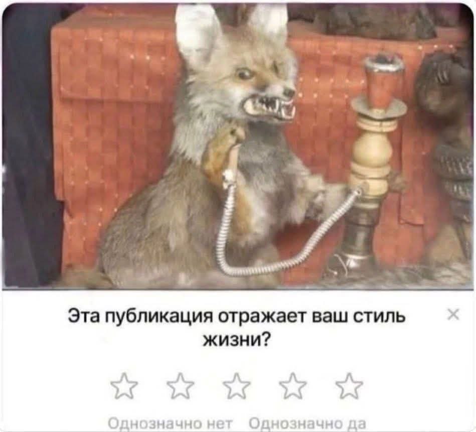 Эта публикация отражает ваш стиль жизни? однозначно да