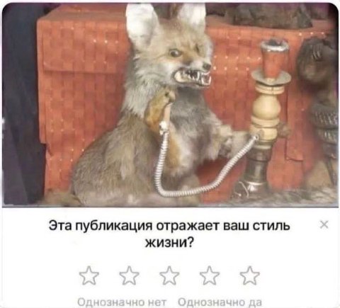 Эта публикация отражает ваш стиль жизни? однозначно да