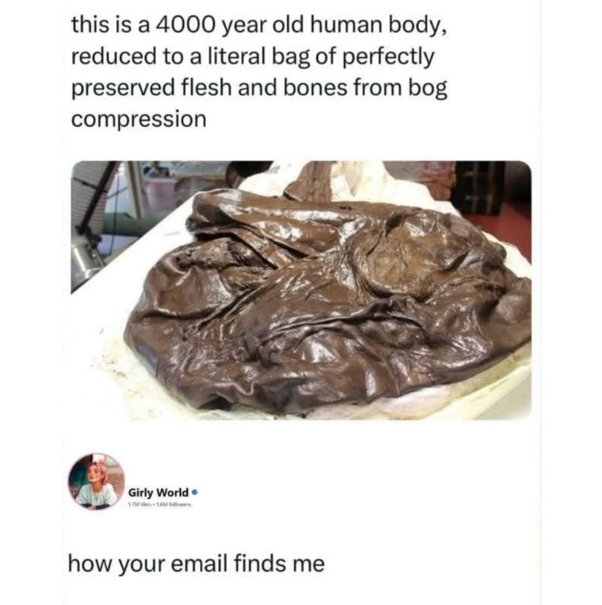 this is a 4000 year old human body, reduced to a literal bag of perfectly preserved flesh and bones from bog compression 4 a В how your email finds