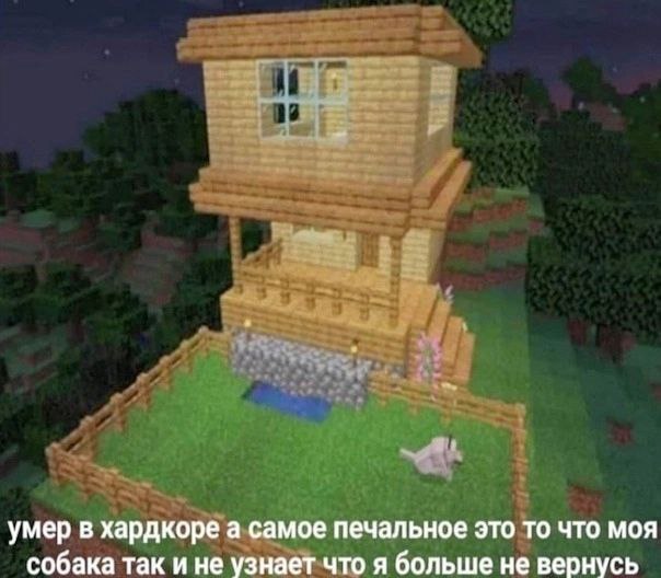 умер в хардкоре а самое печальное это то что моя собака так и не узнает что я больше не вернусь