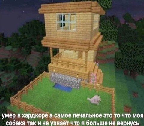 умер в хардкоре а самое печальное это то что моя собака так и не узнает что я больше не вернусь