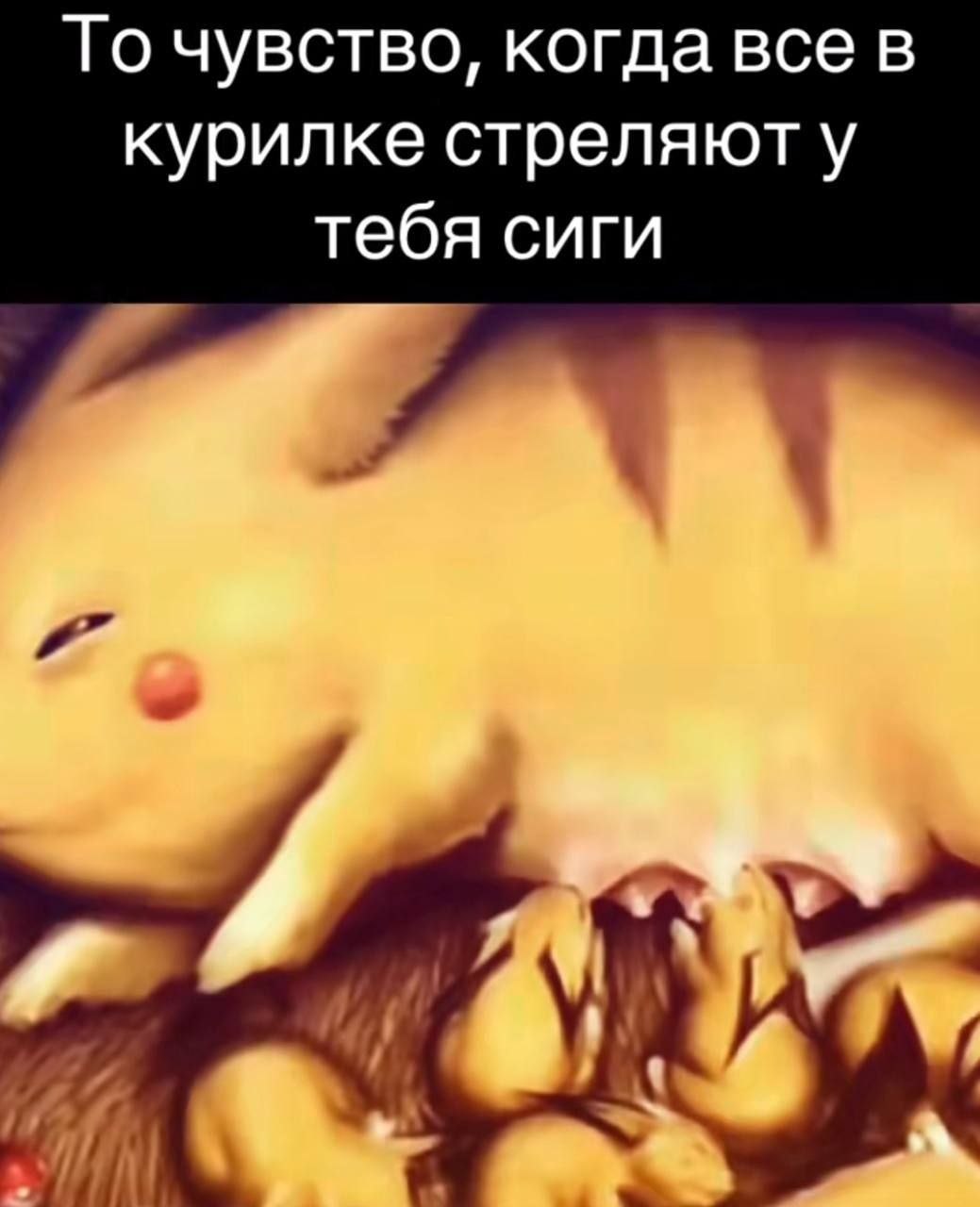 То чувство, когда все в курилке стреляют у тебя сиги