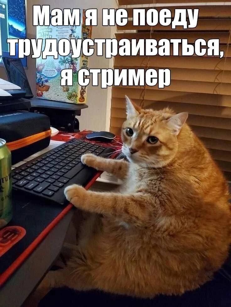 устраиваться,