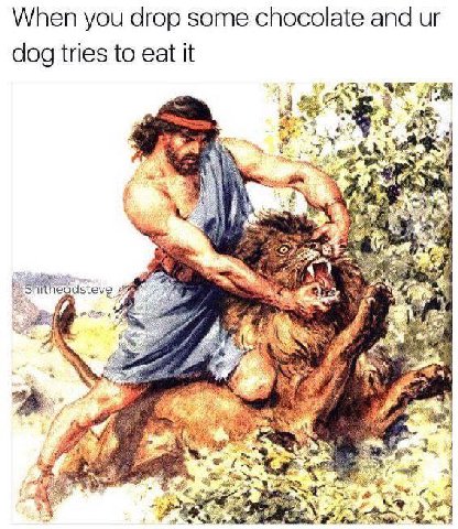 When you drop some chocolate and dog tries to eat it Shitheadsteve 2 “a