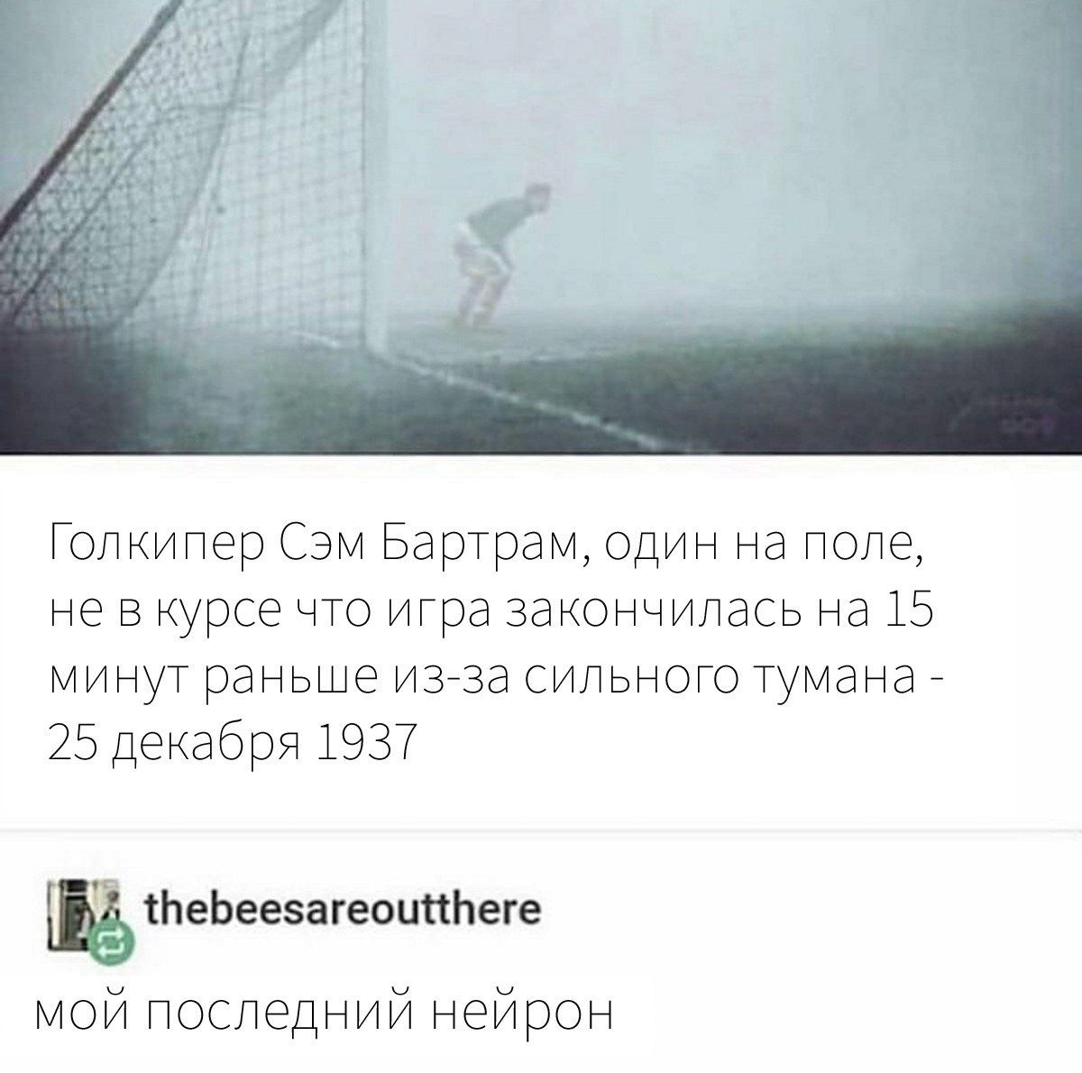 Голкипер Сэм Бартрам, один на поле, не в курсе что игра закончилась на 15 минут раньше из-за сильного тумана 25 декабря 1937 thebeesareoutthere мой последний нейрон