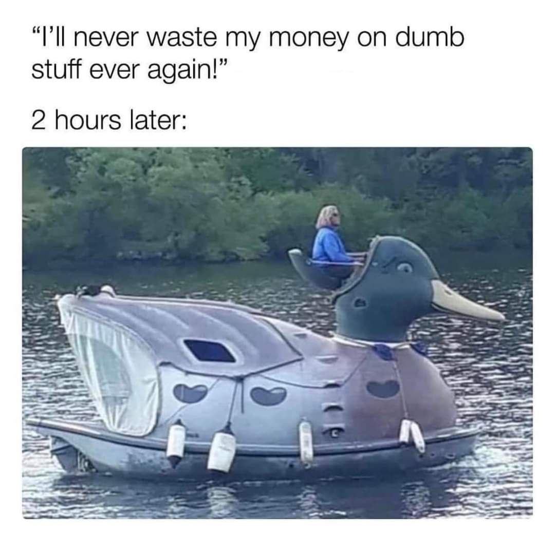 never waste my money dumb stuff ever again!” 2 hours later: