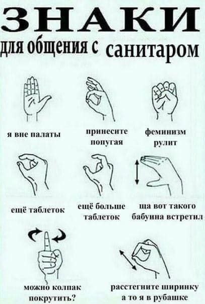 ЗНАКИ Для с санитаром я вне палаты принесите феминизм попугая рулит ещё больше вот такого еще таолеток таблеток бабуина встретил можно колпак расстегните ширинку покрутить? рубашке