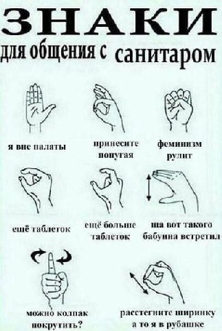 ЗНАКИ Для с санитаром я вне палаты принесите феминизм попугая рулит ещё больше вот такого еще таолеток таблеток бабуина встретил можно колпак расстегните ширинку покрутить? рубашке