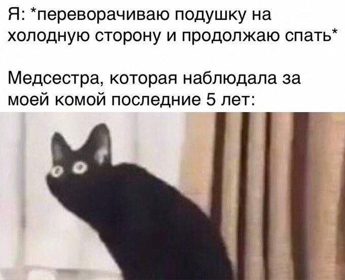 Я: *переворачиваю подушку на холодную сторону и продолжаю спать* Медсестра, которая наблюдала за моей комой последние 5 лет: