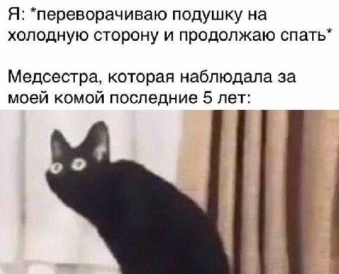 Я: *переворачиваю подушку на холодную сторону и продолжаю спать* Медсестра, которая наблюдала за моей комой последние 5 лет: