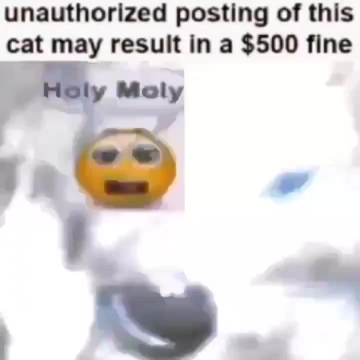unauthorized posting of this