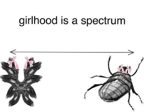 girlhood is а spectrum