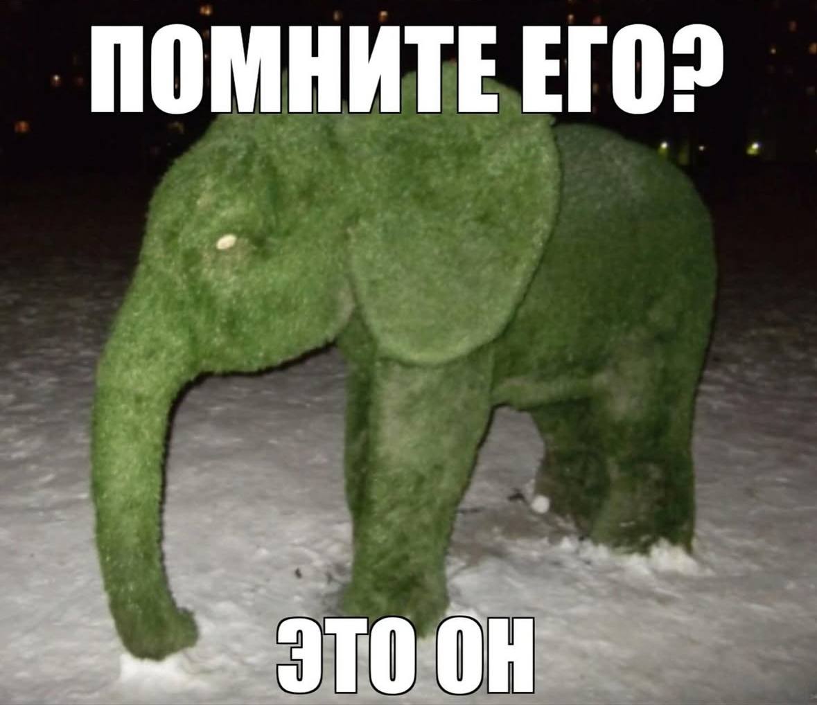 ПОМНИТЕ