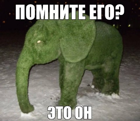 ПОМНИТЕ