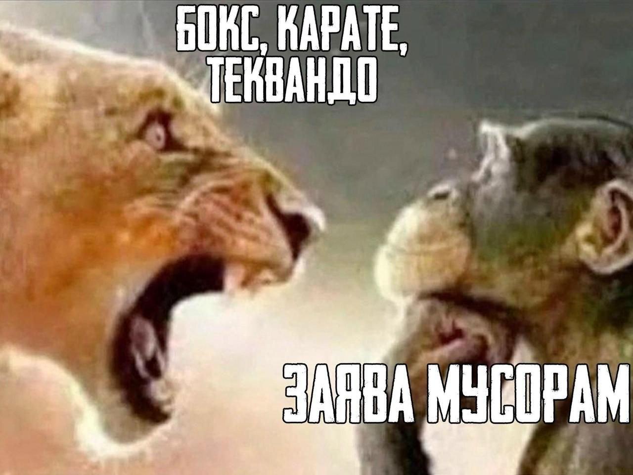 КАРАТЕ,
