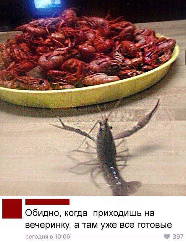 rad Обидно, когда приходишь на вечеринку, а там уже все готовые сегодня в 10:06 397