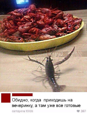 rad Обидно, когда приходишь на вечеринку, а там уже все готовые сегодня в 10:06 397