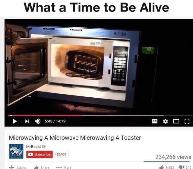 What a Time to Be Alive 1 5:45/1419 Microwaving A Microwave Microwaving А Toaster MrBeast 234,266 views a eee