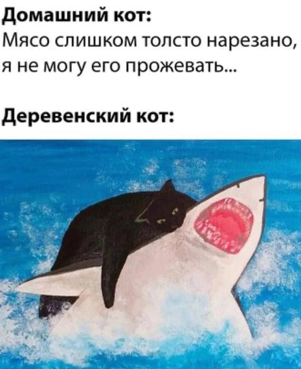 Домашний кот: Мясо слишком толсто нарезано, я не могу его прожевать... Деревенский кот: