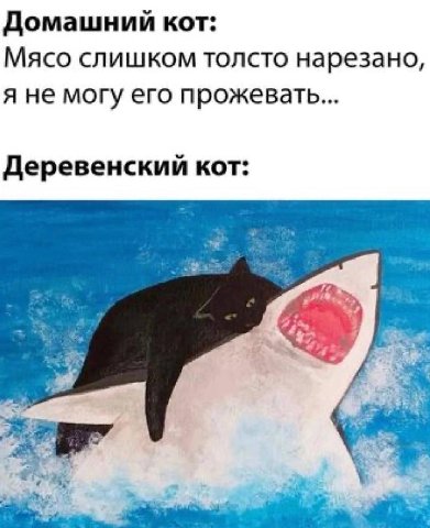 Домашний кот: Мясо слишком толсто нарезано, я не могу его прожевать... Деревенский кот:
