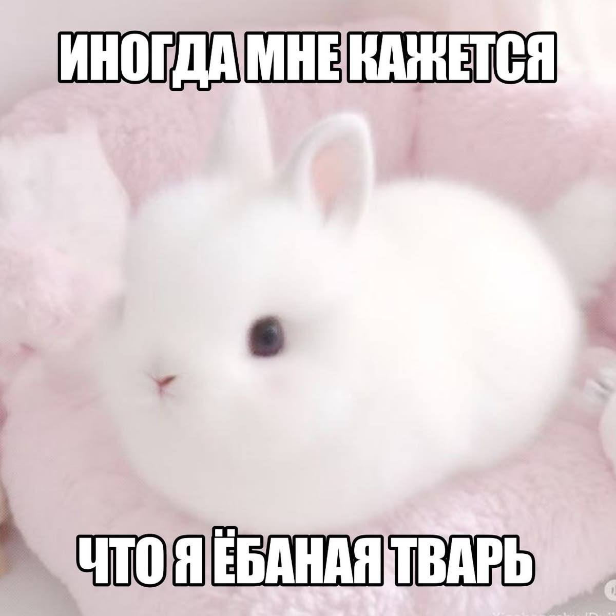 ИНОГДА МНЕКАЖЕТСЯ ТВАРЬ