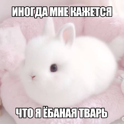 ИНОГДА МНЕКАЖЕТСЯ ТВАРЬ