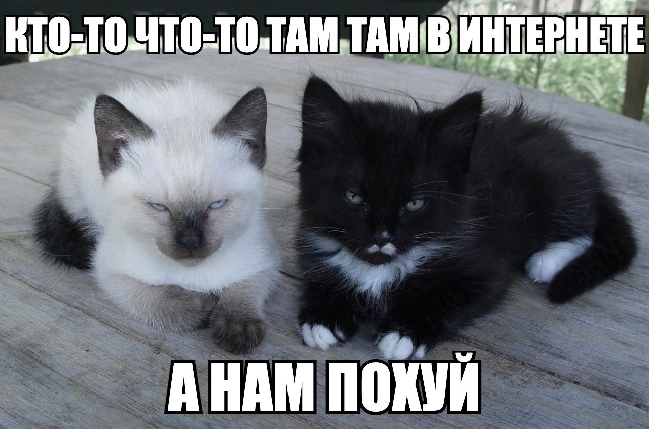 КТО to 4 ПОХУИ