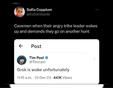 Sofia Coppium Cavemen when their angry tribe leader wakes up and demands they on another hunt Post Tim Pool Grok is woke unfortunately 11:15 10 Dec 23 Views