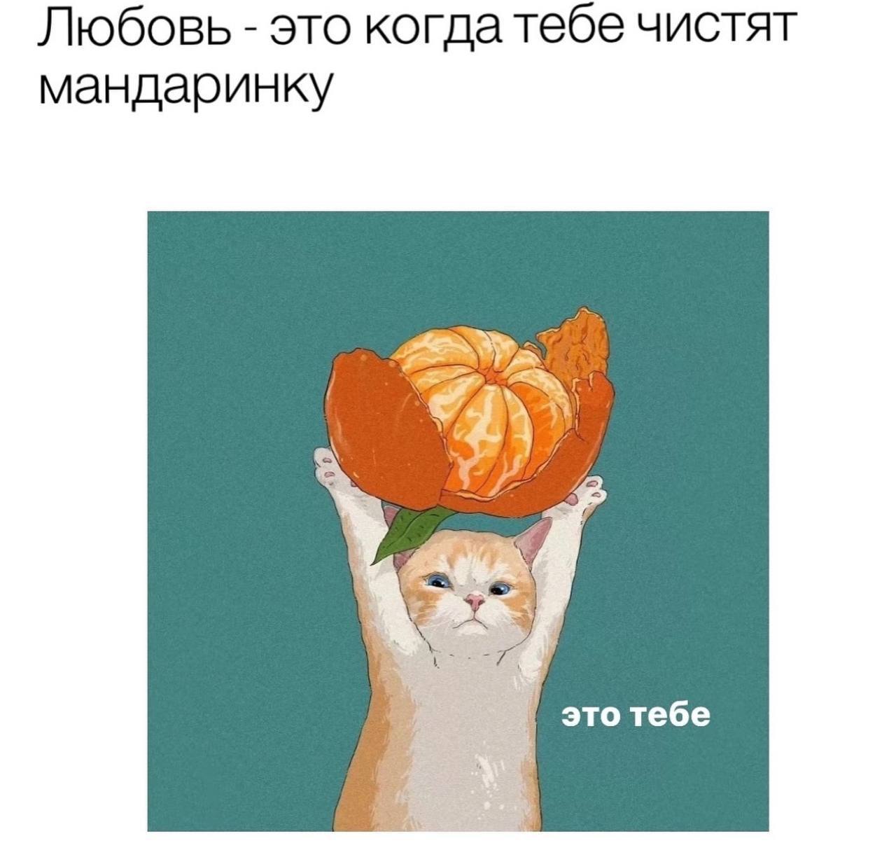 Любовь это когдатебе чистят мандаринку это тебе