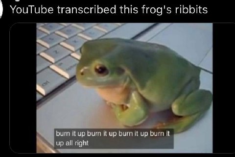 YouTube transcribed this frog's ribbits burn it up burn it up burn it up burn it up all right
