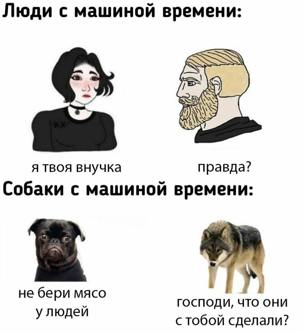 Люди с машиной времени: я твоя внучка правда? Собаки с машиной времени: i не бери мясо улюдей ГОСПОДИ, ЧТО ОНИ с тобой сделали?