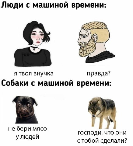 Люди с машиной времени: я твоя внучка правда? Собаки с машиной времени: i не бери мясо улюдей ГОСПОДИ, ЧТО ОНИ с тобой сделали?