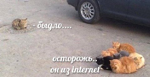 5 we internet-