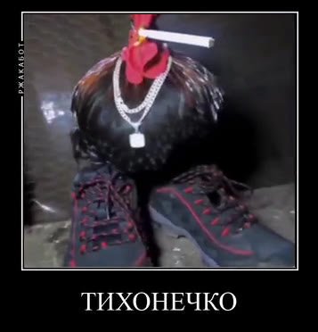 ТИХОНЕЧКО