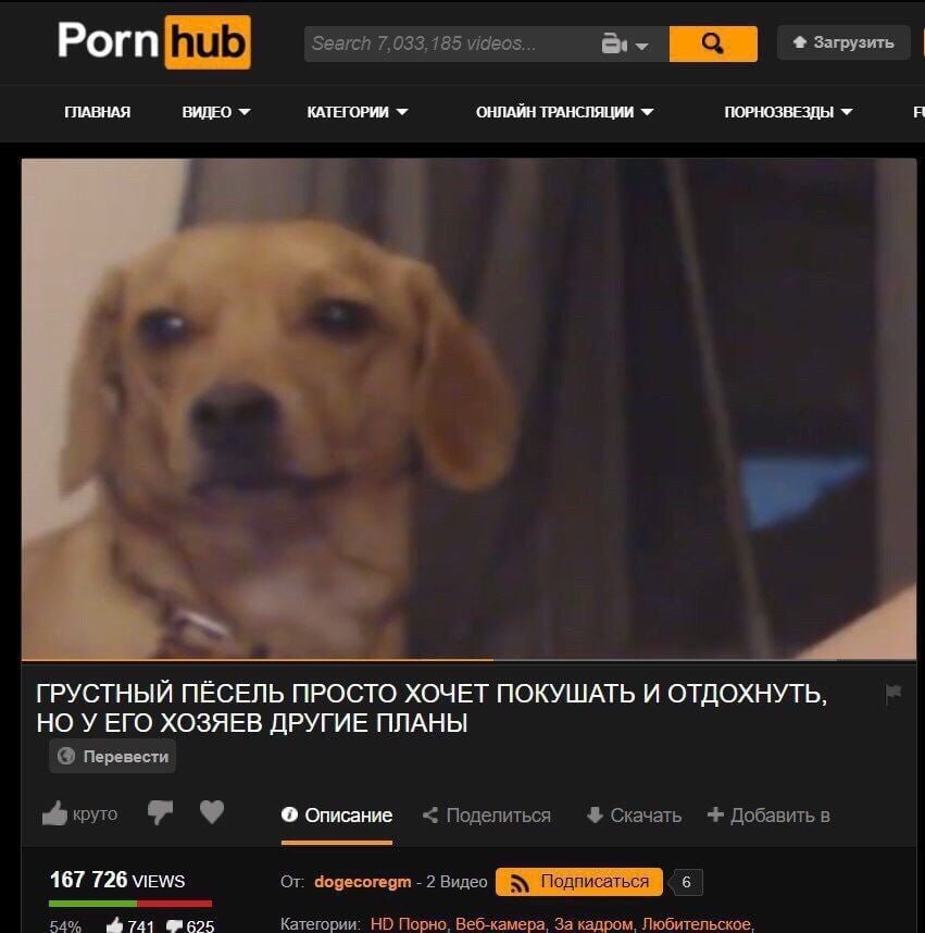 Search 7,033,185 videos... 4 Загрузить ГЛАВНАЯ ВИДЕО КАТЕГОРИИ ОНЛАЙН ТРАНСЛЯЦИИ ПОРНОЗВЕЗДЫ ГРУСТНЫЙ ПЁСЕЛЬ ХОЧЕТ ПОКУШАТЬ И ОТДОХНУТЬ, НО У ЕГО ХОЗЯЕВ ДРУГИЕ ПЛАНЫ Перевести круто О Описание Поделит