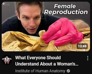 Female roduction 13:48 What Everyone Should Understand About a Woman's... Institute of Human Anatomy