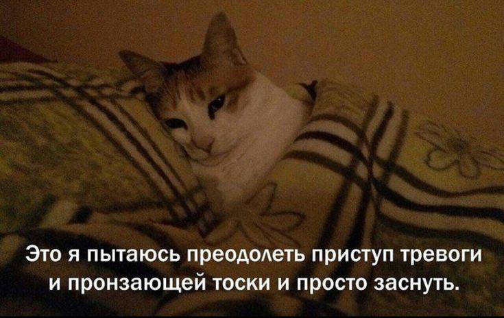 Это я пытаюсь преодолеть приступ тревоги и пронзающей тоски и просто заснуть.