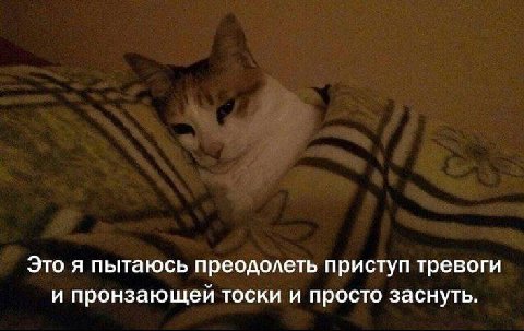 Это я пытаюсь преодолеть приступ тревоги и пронзающей тоски и просто заснуть.