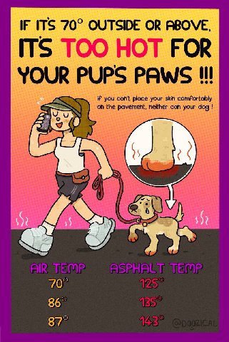 IF ITS 70° OUTSIDE OR ABOVE, ITS TOO HOT FOR YOUR PUPS PAWS if you can't place your skin comfortably on the pavement, neither can your dog 70” 86°