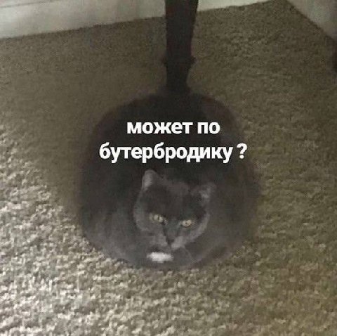 может по бутербродику